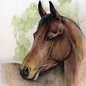 Meet your Posher, Grace